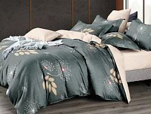 Постельное белье Dream Fly микросатин DF-406