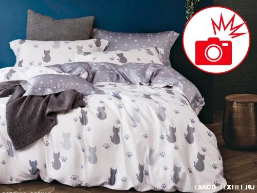 Постельное белье Tencel TT-77 (Кошки)