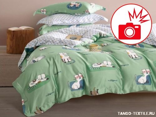 Постельное белье Tencel TT-134