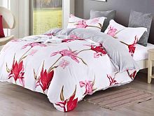 Постельное белье Dream Fly микросатин DF-258