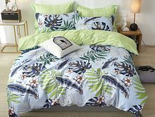 Постельное белье Dream Fly микросатин DF-447