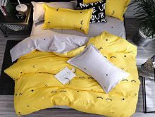 Постельное белье Dream Fly микросатин DF-121