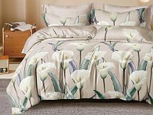 Постельное белье Twill сатин TPIG-1947