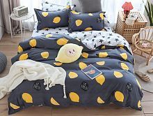 Постельное белье Dream Fly микросатин DF-83