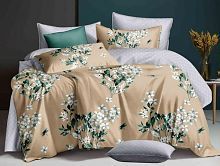 Постельное белье Dream Fly микросатин DF-276