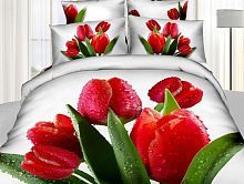 Постельное белье Tango Novella сатин TS-835