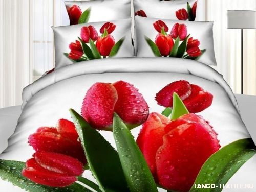 Постельное белье Tango Novella сатин TS-835