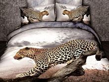 Постельное белье Tango Novella сатин TS-836